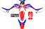 KIT ADESIVOS GRAFICOS CRF250F BIKER R1DE BACKY - Imagem 1