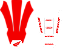 KIT ADESIVOS GRAFICOS CRF230 2015 CRF RED - Imagem 3