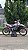KIT ADESIVOS GRAFICOS CRF230 AMX F25 MOTOCROSS NYCOLE PURPLE - Imagem 5