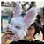 Fantasia Máscara coelho assassino Branco - Imagem 10