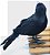 Modelo simulação Pássaro Corvo Negro Animal Halloween - Imagem 3