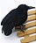 Modelo simulação Pássaro Corvo Negro Animal Halloween - Imagem 4