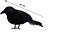 Modelo simulação Pássaro Corvo Negro Animal Halloween - Imagem 2
