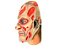 Máscara Freddy Krueger Halloween Fantasia Assustador Festa - Imagem 7