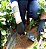 1 kilo Neve Artificial aspecto de microcristais brancos Natal - Imagem 8