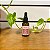 Óleo Vegetal de Jojoba 30 ml Apse / Apice - Imagem 1
