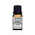 ESSENCIA CASZULO 10ML BAMBU ORIENTAL - VIA AROMA - Imagem 1