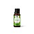 ESSENCIA AMBIENTALIZE BAMBOO 10ML - THERAPI - Imagem 1