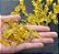 10 Isca Artificiais Camarão Amarelo com anzol 4cm - Imagem 7