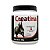 Creatina 500 Gr - Vetnil - Imagem 9