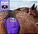 Protetor de Rabo Estampa Boiadeira - Boots Horse - Imagem 2