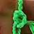Cabresto Com Cabo Trançado de Paracord Verde Limão - Boots Horse - Imagem 7