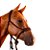 Cabresto Com Cabo Trançado de Paracord Marrom - Boots Horse - Imagem 1