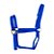 Cabresto Tamanho Pequeno Azul Royal - Boots Horse - Imagem 1