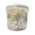 Cubos De Açúcar Sabor Demerara 1 Kg - Golden Horse - Imagem 3