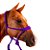Cabresto Com Cabo Trançado de Paracord Roxo - Boots Horse - Imagem 1