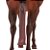 Saco Para Rabo De Lycra Marrom - Boots Horse - Imagem 2