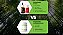 KIT Extrato Alcoólico de Própolis Verde 60% 30ml + Vitamina B6  + Própolis Vermelhos Caps 100% - 30 Caps 270ml - Imagem 3