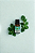 Óleo Essencial de Hortelã Pimenta "Peppermint" 100% Puro 10ml | Native - Imagem 1