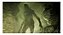 Jogo Resident Evil 7: Biohazard - Xbox One (Usado) - Imagem 3