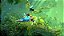 Jogo Rayman Legends - PS3 (Usado) - Imagem 4