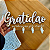 GANCHEIRA GRATIDÃO... AURORA 1 11X22 - Imagem 1