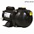 Bomba Autoaspirante Dancor AP-3C 3/4 cv - Imagem 1