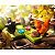 Squirrels Go Nuts! - Jogo de Lógica Esquilos Loucos por Nozes - Imagem 4