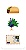 Jogo O Que O Quê - PaperGames - Imagem 7
