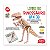 Livro do Dinossauro T-Rex 3D com Peças de Madeira - Imagem 1
