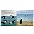 Eu e Meus Sentimentos: Quando o Pinguim é Rejeitado - Imagem 2