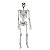 Livro de Maquete 3D: Corpo Humano - Imagem 5