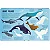 Lanterna - Procure e Encontre! Animais do Oceano - Imagem 3