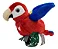 Happy Yappers Papagaio Vermelho - Imagem 6