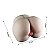 Masturbador Texturizado Realista com Útero Vagina e Ânus Cyberskin 3kg - Imagem 8