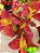 Coleus 49 - Imagem 2