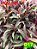 dracena coydelyne baby - Imagem 1