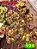 Coleus 194 - Imagem 1