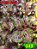 Coleus 349 - Imagem 1