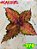 Coleus 379 - Imagem 2