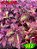 Coleus 302 - Imagem 1