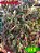 Coleus 398 - Imagem 1