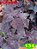 Coleus 134 - Imagem 1