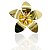 Brinco flor 5 pétalas banhado ouro - Imagem 1