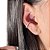 Brinco argola cravejado piercing falso banhado prata - 1pç - Imagem 4