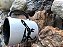 CANECA MPPCN - ESPÉCIE - Imagem 5
