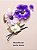 Body Splash Midnight Bloom Victoria's Secret 250ml - Imagem 2