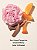 Bombshell Amalfi Victoria's Secret Eau de Parfum 50ml - Imagem 2