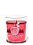Vela Perfumada 1 Pavio Champagne Apple & Honey Bath & Body Works - Imagem 1