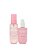 Kit Victoria's Secret Coconut Milk Rose 2 Itens: Body Mist 88ml + Loção Corporal 88ml - Imagem 3